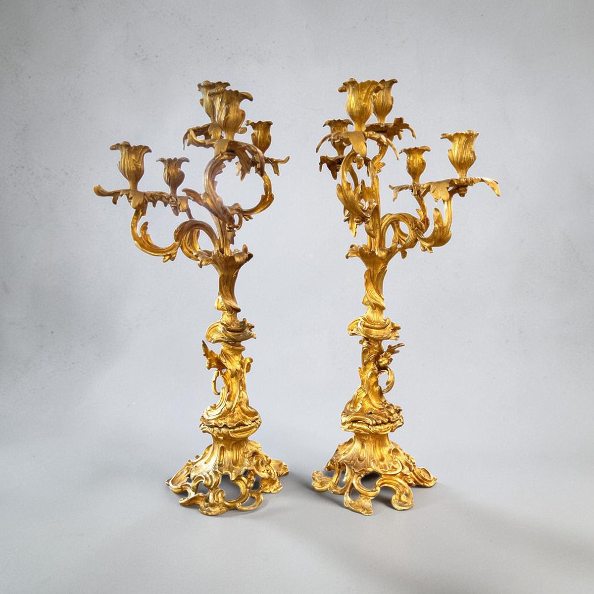 19th Century Pair of Louis XV Style Large Gilded Ormolu 5 Light Candelabras