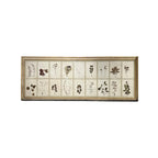 18th Century Swedish Framed Botanical Collection