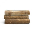 French Set of 3 Vellum Books