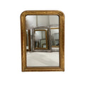 19th Century French Louis Philippe Gold Mirror with Flowers - Med/Lg