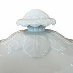 19th Century European Ironstone Tureen with Lid