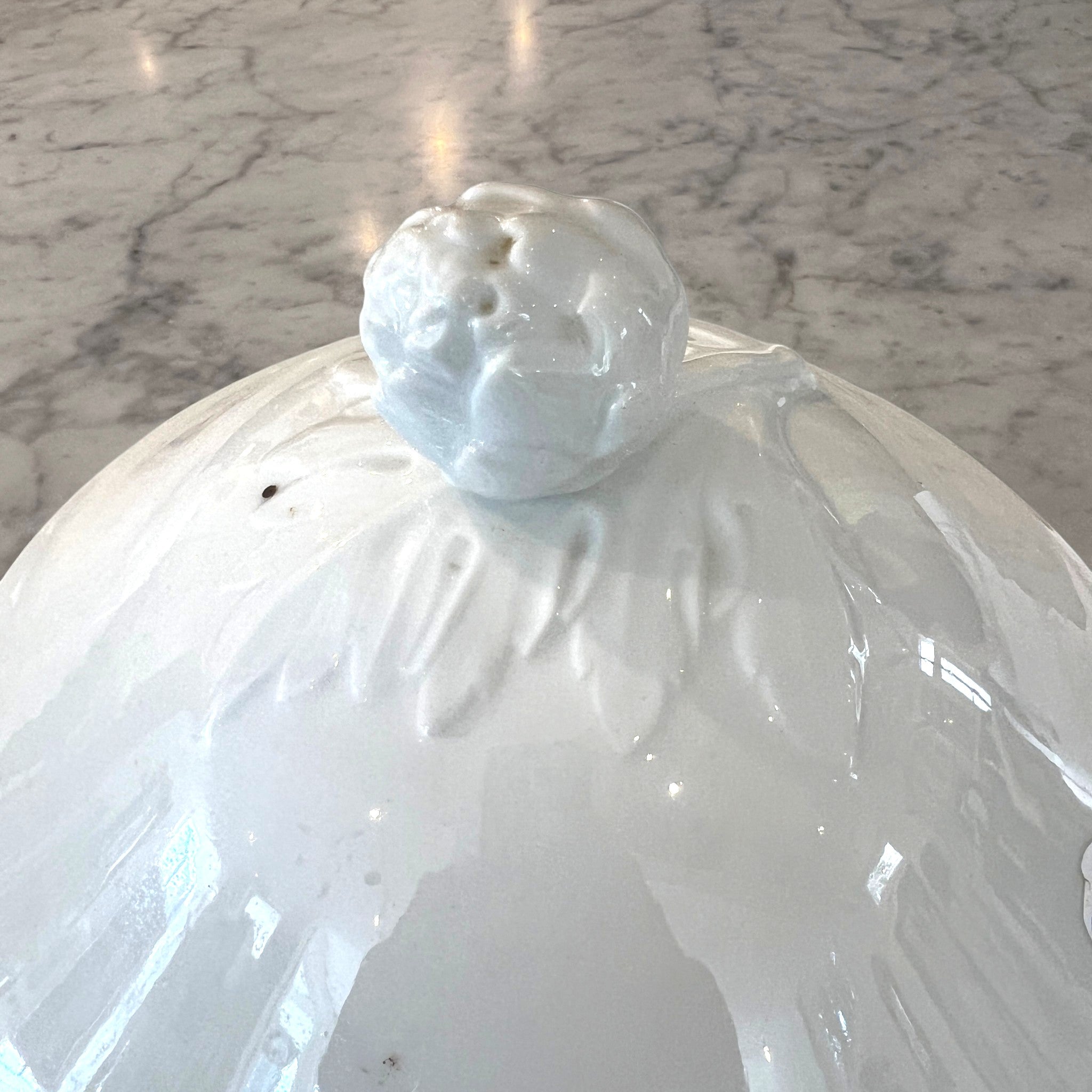 19th Century European Ironstone Tureen with Lid