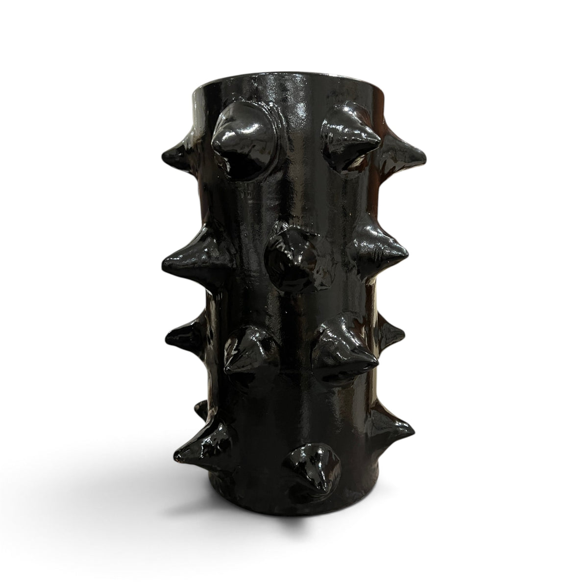 Glossy Thorn Vase