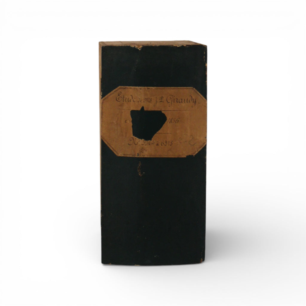 19th Century French Antique Set of 2 Wood Book Boxes