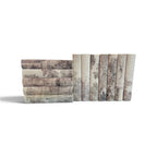 Set of 12 Grisaille Books