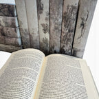 Set of 12 Grisaille Books