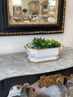 19th Century European Porcelain Jardiniere with Gilding