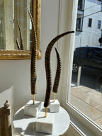 Exotic Horn on Stand - Medium