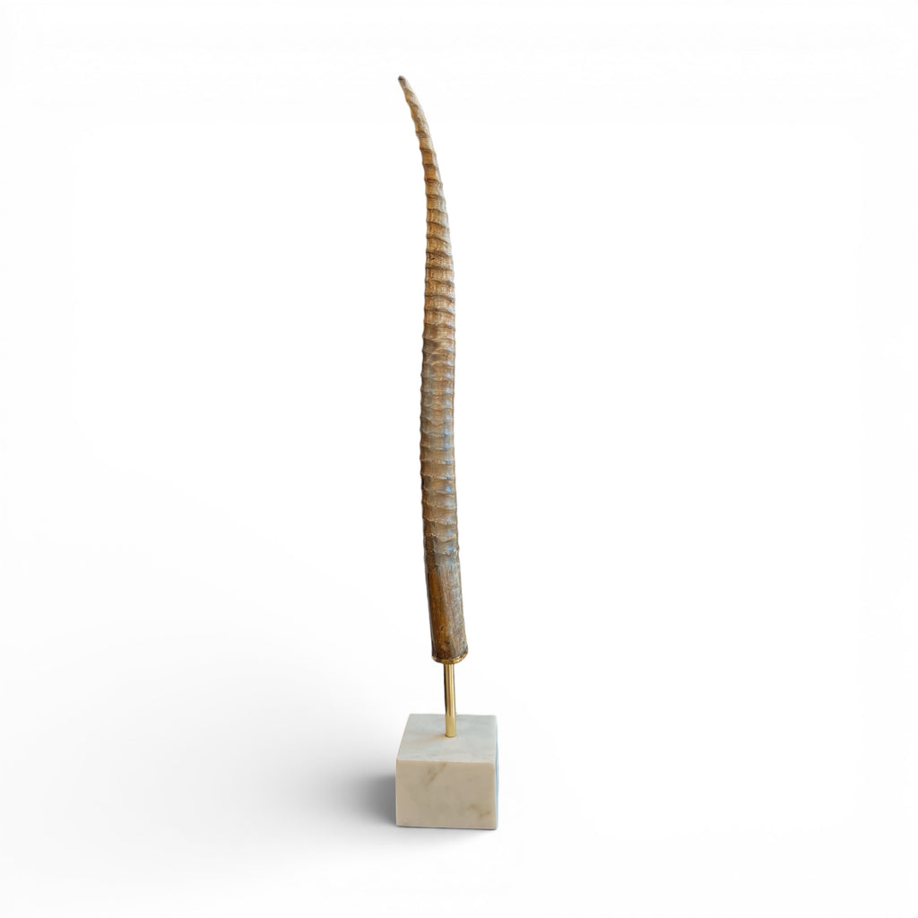 Exotic Horn on Stand - Medium