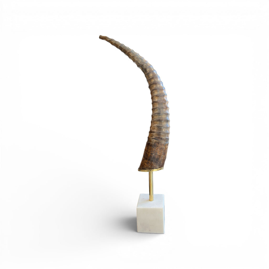 Exotic Horn on Stand - Small