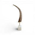Exotic Horn on Stand - Small