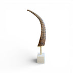 Exotic Horn on Stand - Small