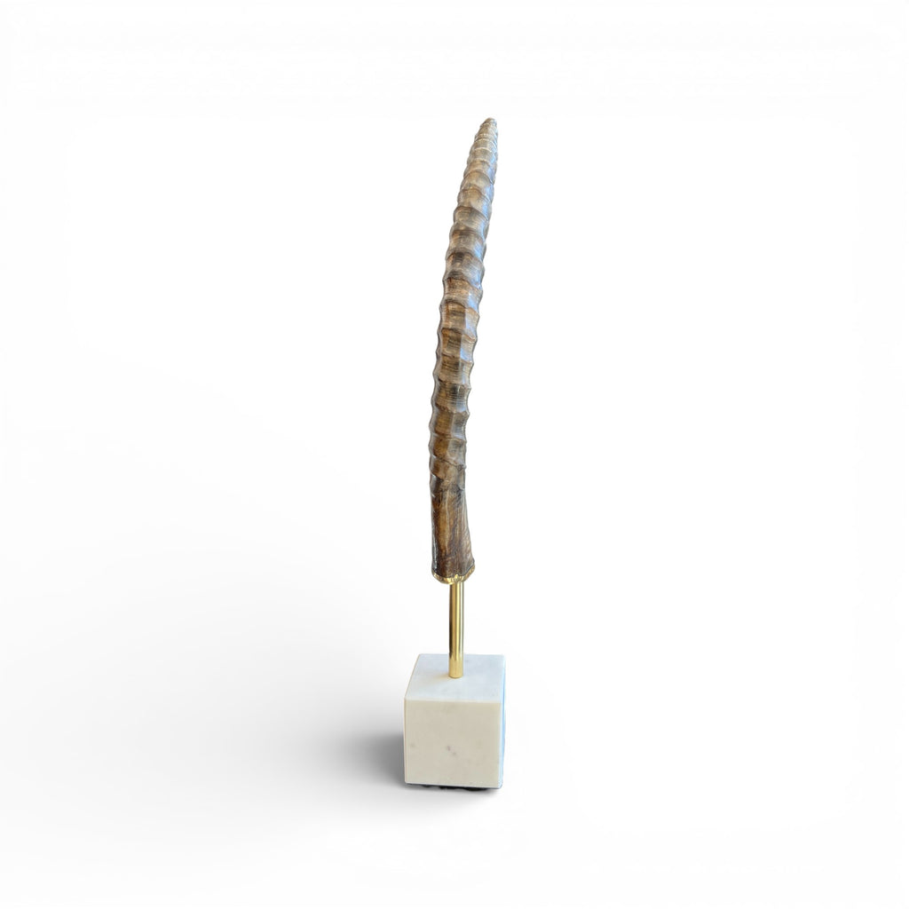 Exotic Horn on Stand - Small