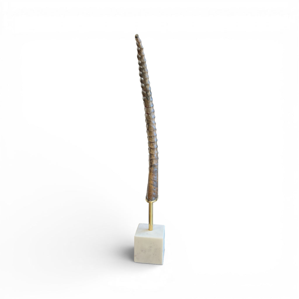 Exotic Horn on Stand - Small