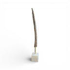 Exotic Horn on Stand - Small