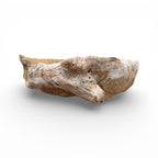 Root Bowl