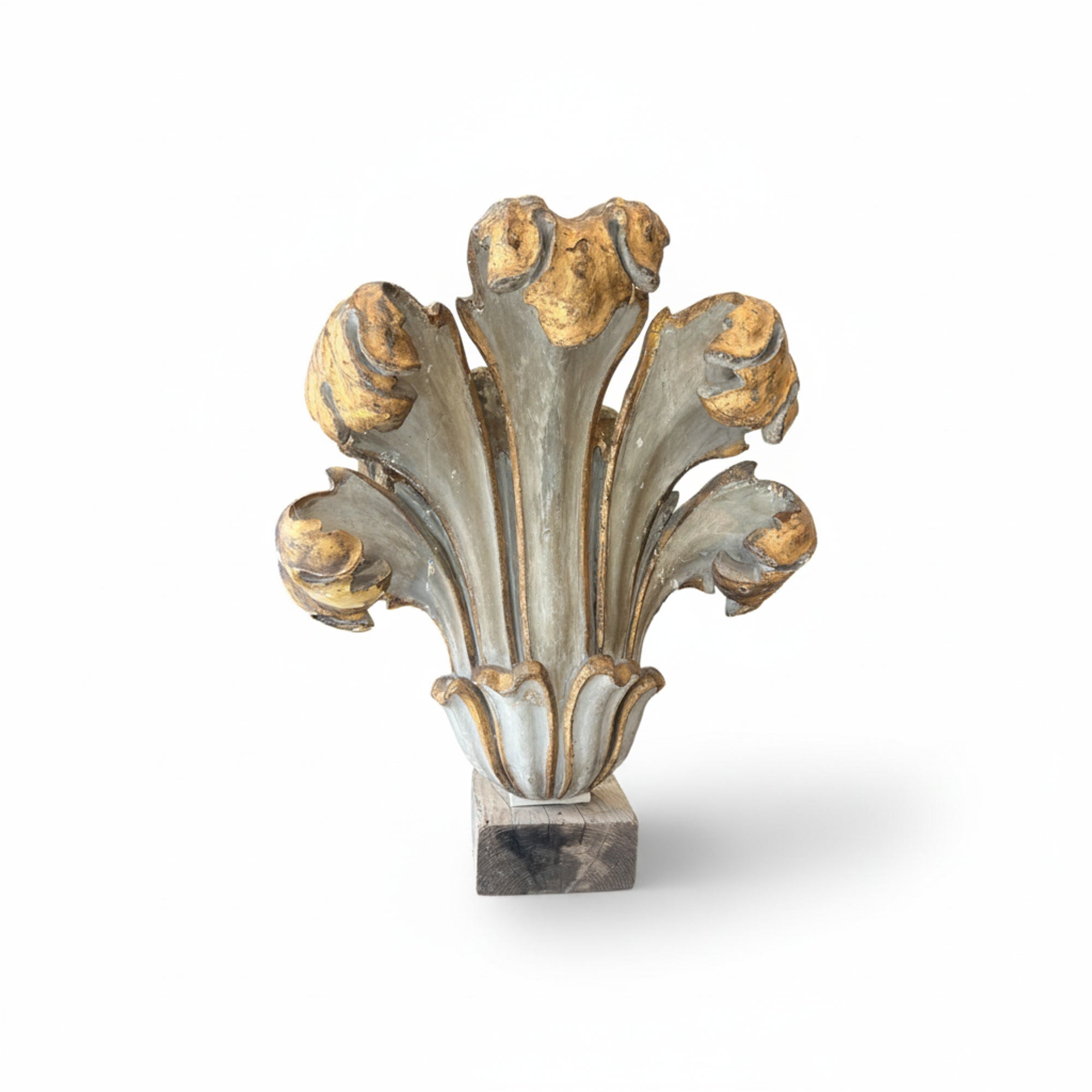 18th Century Louis XIV Wooden Plume Fragment on Stand