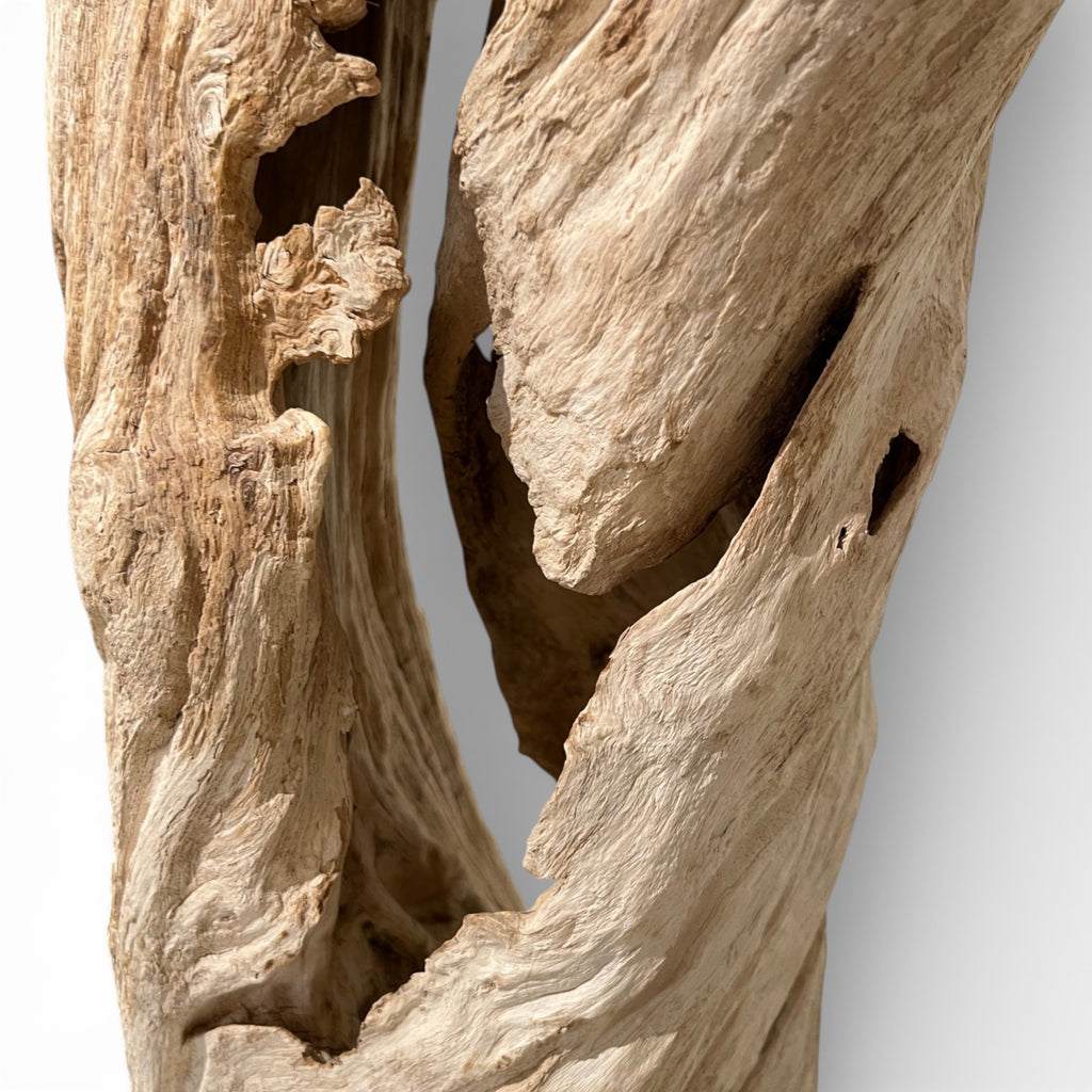 Tall Driftwood on Stand