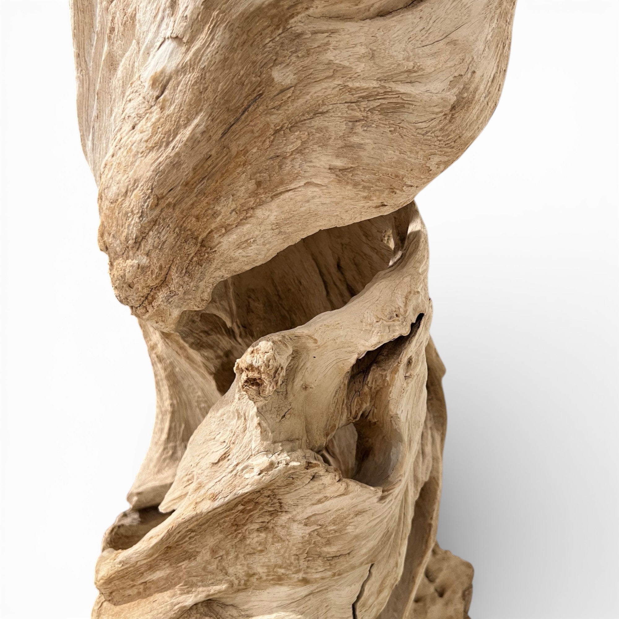 Tall Driftwood on Stand