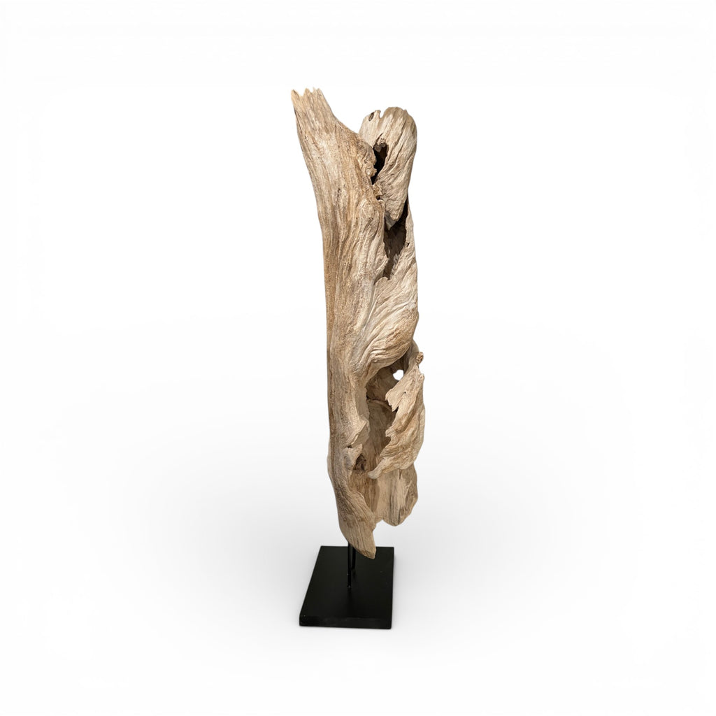 Tall Driftwood on Stand