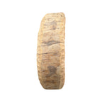 Wooden Sculpture (Wheel)