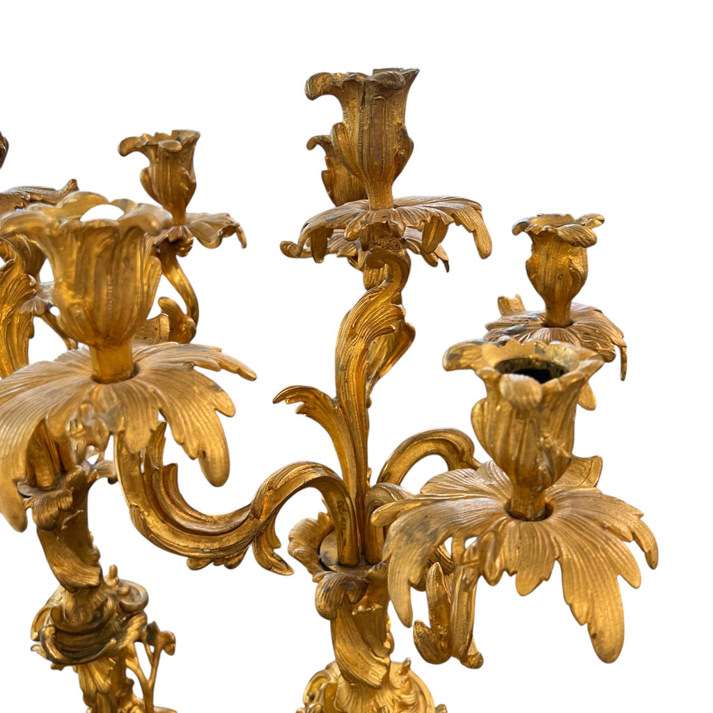 19th Century Pair of Louis XV Style Large Gilded Ormolu 5 Light Candelabras
