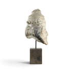 16th Century Italian Limestone Bust of St. Peter