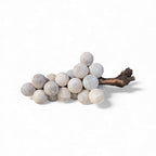 Alabaster Grapes