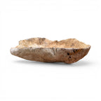 Root Bowl