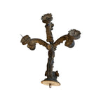 Tara Shaw 17th century Italian hand-carved wooden wall sconce from Lucca with a rich aged patina and floral details.
