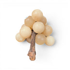 Tara Shaw medium alabaster grapes decorative object with translucent stone spheres and a realistic wooden stem.