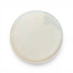 Tara Shaw 19th century European white ironstone cake plate with a smooth, aged glaze and classic round silhouette.