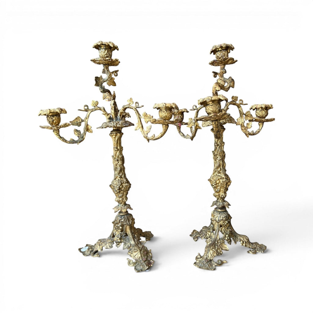 Tara Shaw pair of early 20th-century bronze candelabras with ornate sculptural leaf detailing and a rich patina.