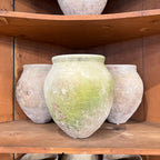 Tara Shaw set of three 18th century Spanish rustic pottery jars with weathered green and beige patina on wooden shelves