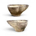Pair of Clover (or Trefoil) Planters